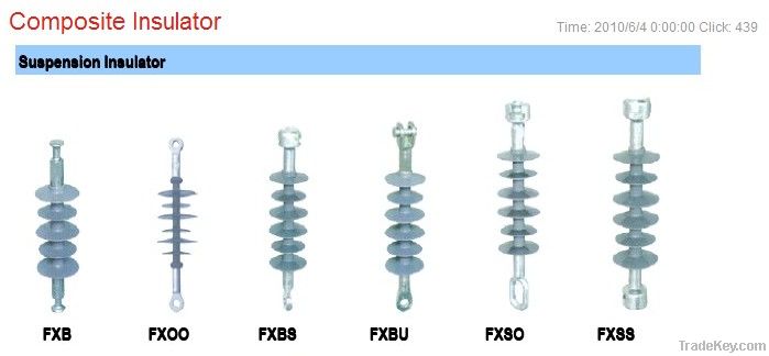 Composite Insulator