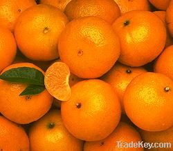 Mandarin