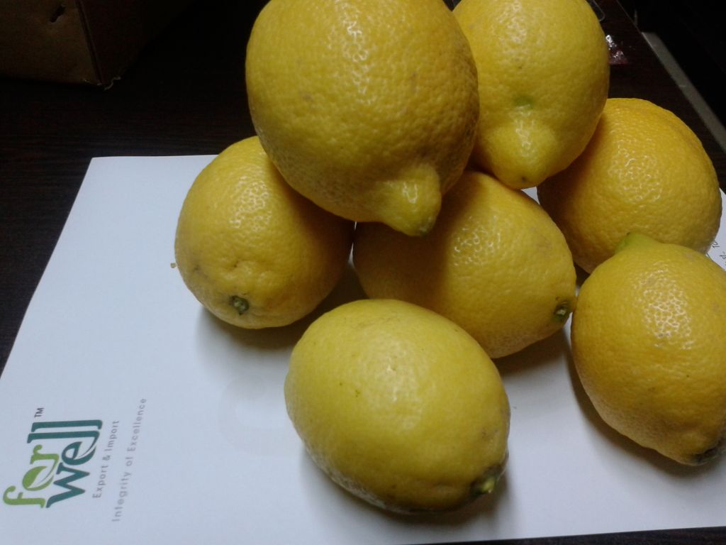 Fresh ( Adalia - Verna - Green lime) Lemon