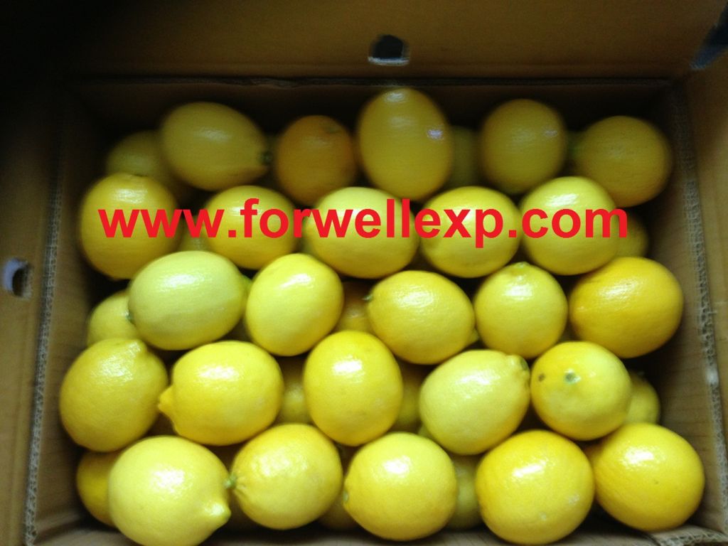 Fresh ( Adalia - Verna - Green lime) Lemon