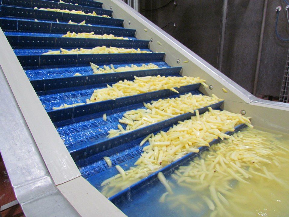 FROZEN FRENCH FRIES ( size 6x6, 7x7 , 9x9 . 10x10 , 13x13 ,14x14 mm)