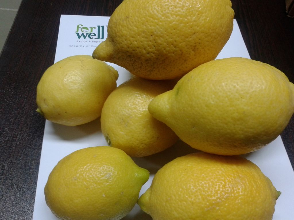 Fresh ( Adalia - Verna - Green lime) Lemon