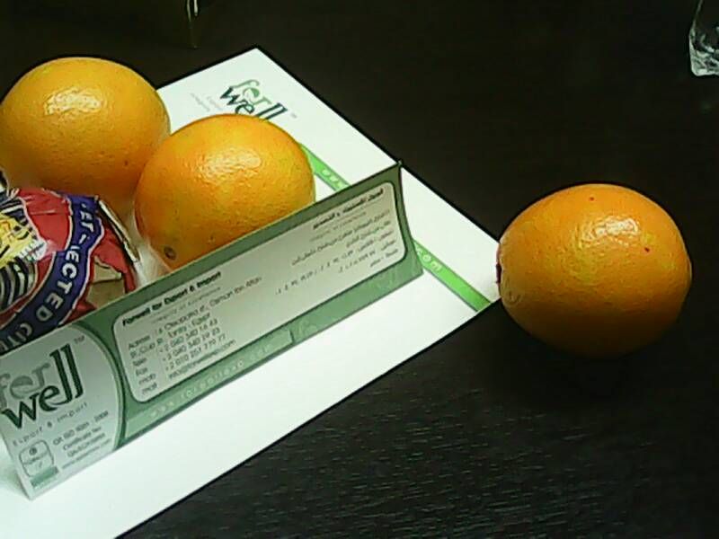 Fresh Navel Orange