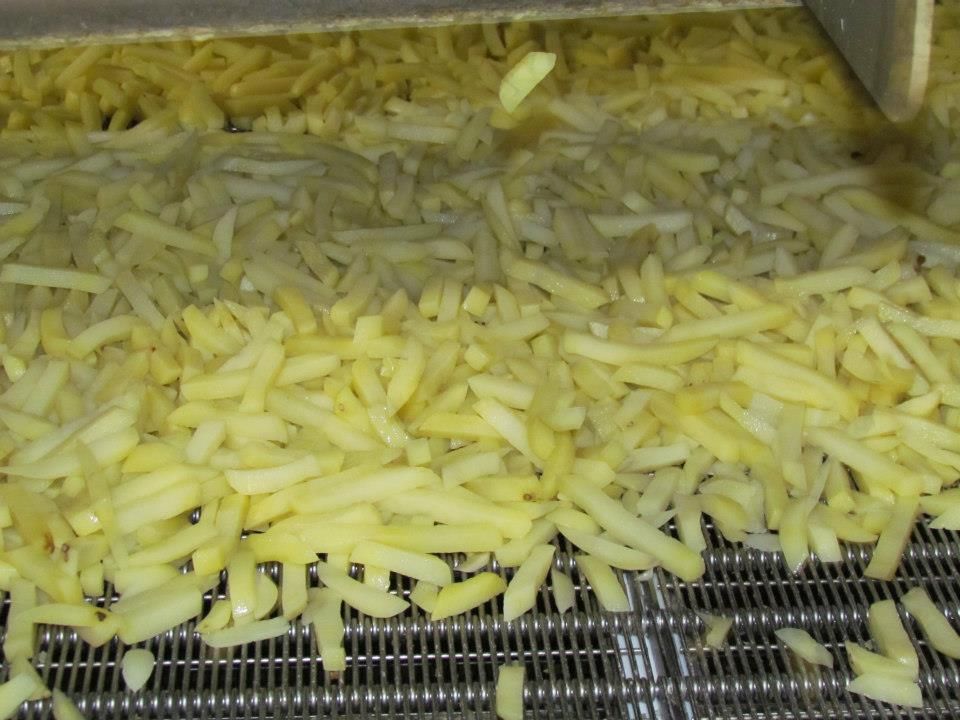 FROZEN FRENCH FRIES ( size 6x6, 7x7 , 9x9 . 10x10 , 13x13 , 14x14 mm)