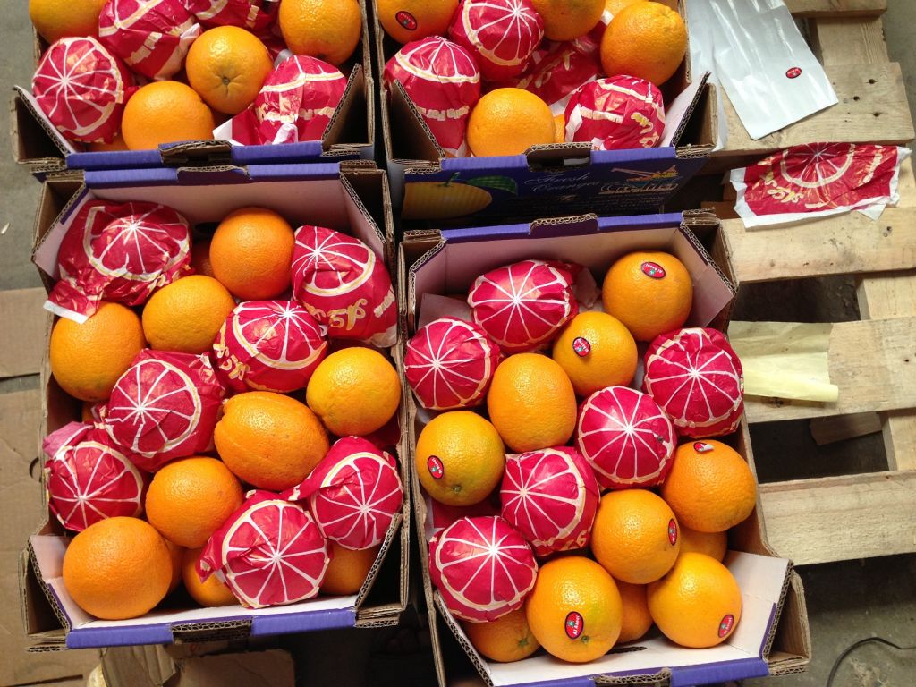 Fresh Navel Orange