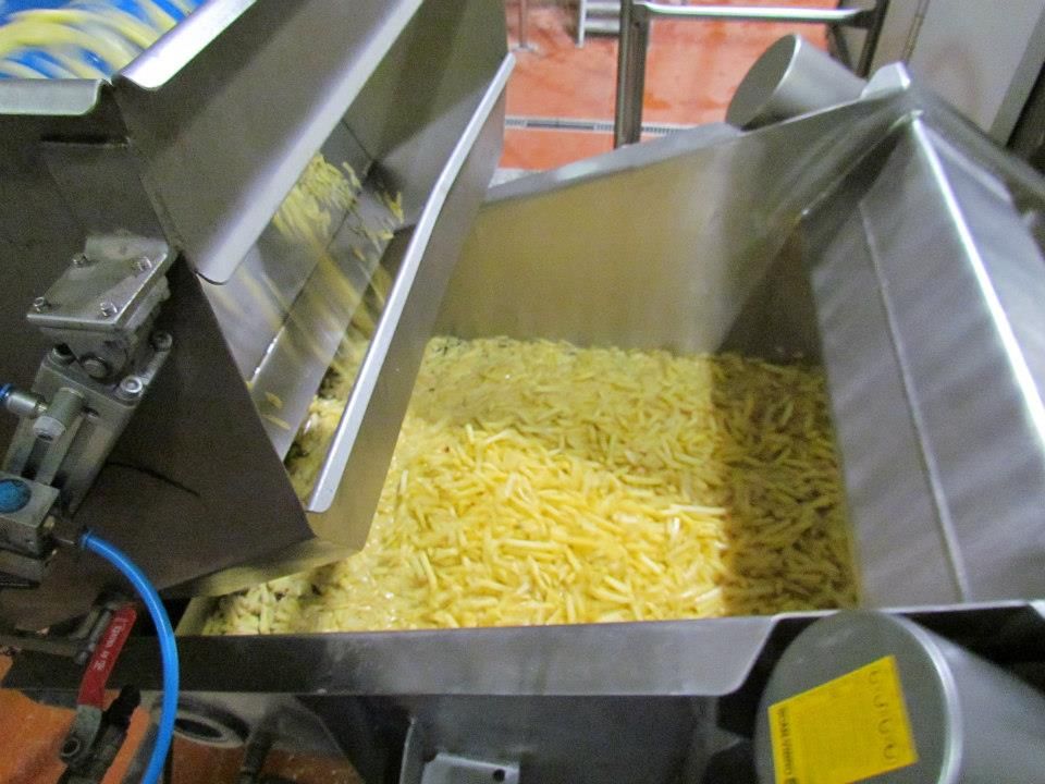 FROZEN FRENCH FRIES ( size 6x6, 7x7 , 9x9 . 10x10 , 13x13 , 14x14 mm)