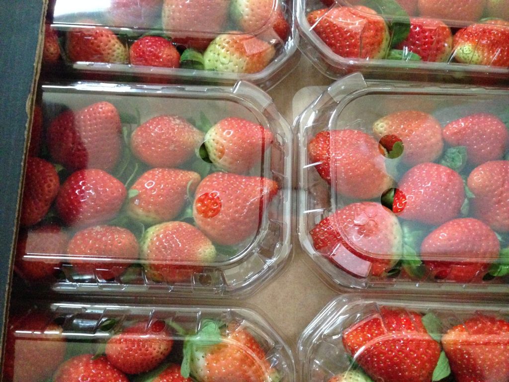 Fresh Strawberry