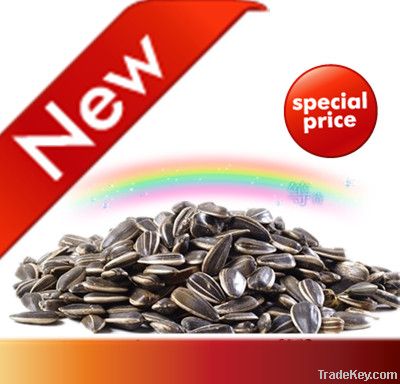 Confectionary sunflower seeds 5009 best price