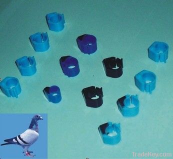 2013 lingleo latest new design leg rings for pigeon bird pet