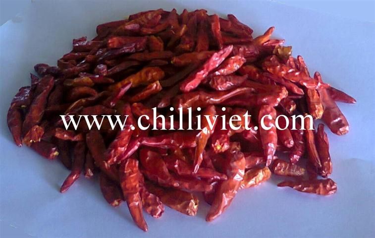 dried red chilli