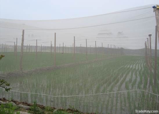 Anti-insect net