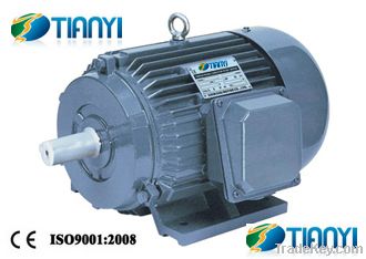 Y Three Phase Induction Motor