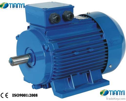 Electric Motor Three Phase Y2 