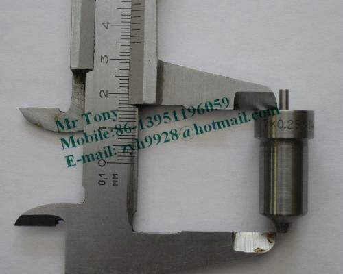 Russia nozzle, plunger, injector, injector