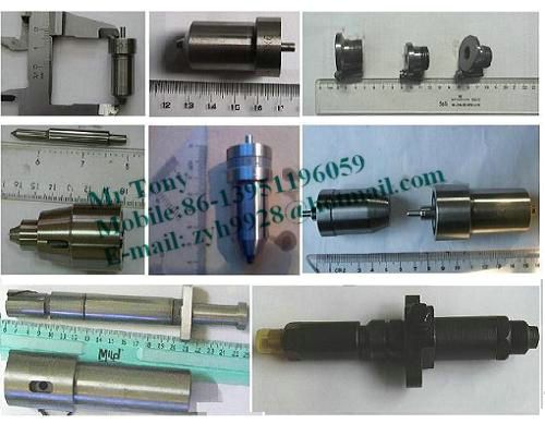 Russia nozzle, plunger, injector, injector