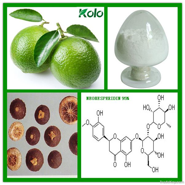 Bitter Orange Extract 95% Neohesperidin