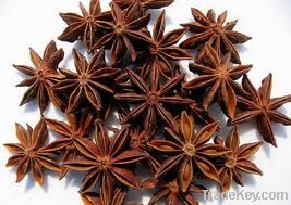 Star Aniseed