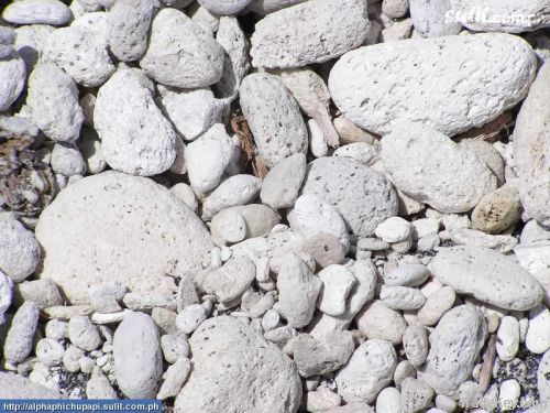 Pumice stone