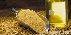 Soybean Oil