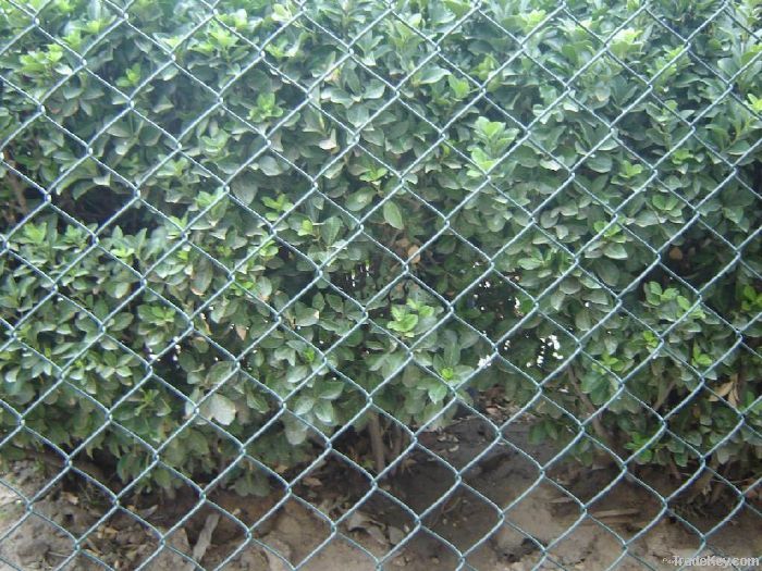 chain link fence