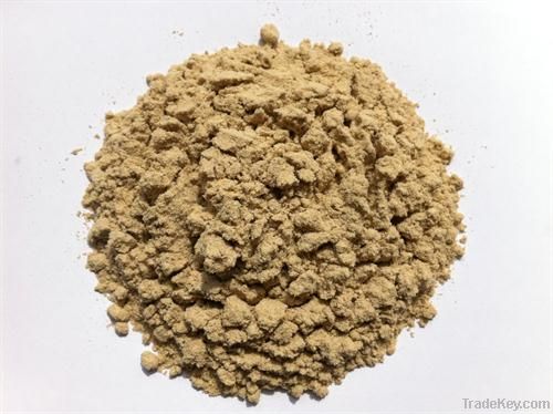 Rice Bran