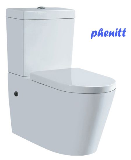 Phenitt White Ceramic Porcelain Flush Toilet Lavatory Pan White Background