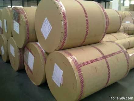 Printing Paper/Melamine Paper