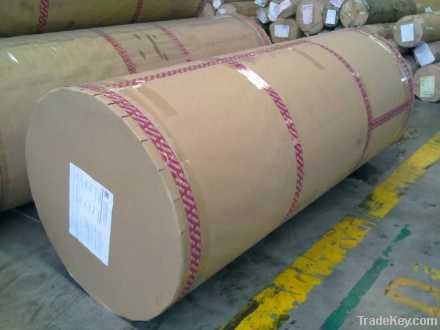 Printing Paper/Melamine Paper