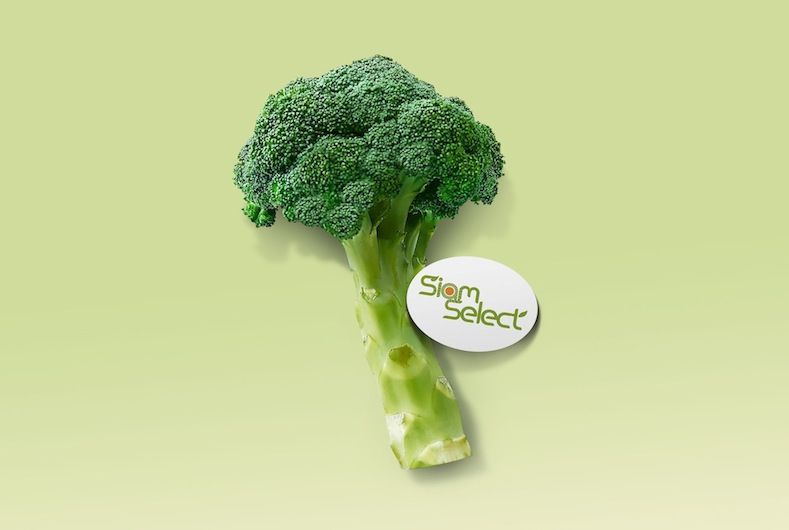 BROCCOLI