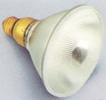 halogen bulb