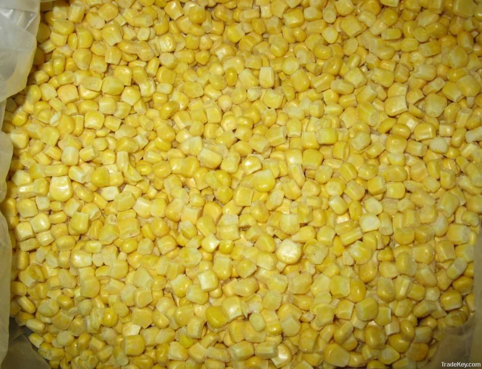 IQF sweet corn