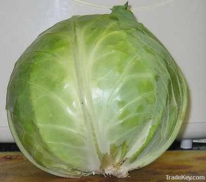 Cabbages