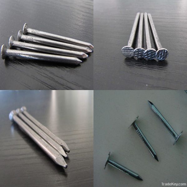 Polishing/Galvanized Common Nails