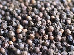 High quality black pepper