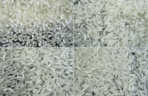 ONEL - Long grain white house