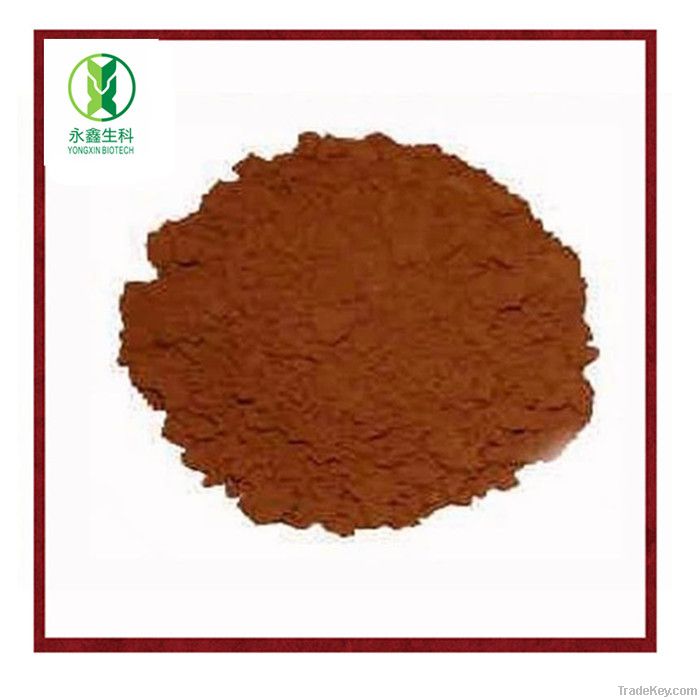 Ganoderma lucidum spore powder