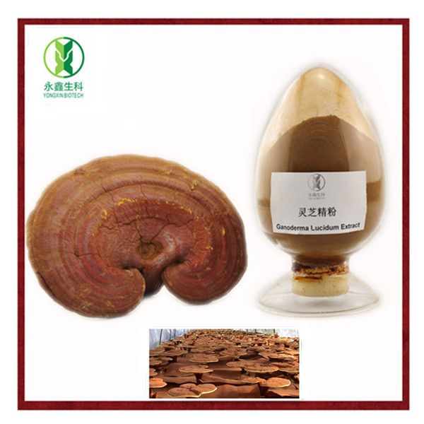 Ganoderma Lucidum Extract