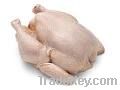 Halal Whole Chicken