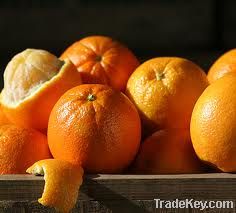 Fresh Oranges