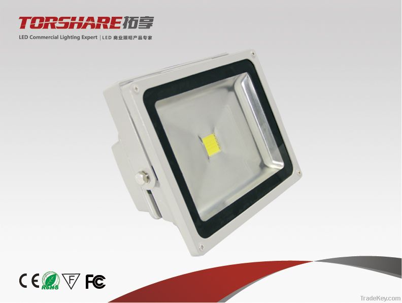 LED Floodlight