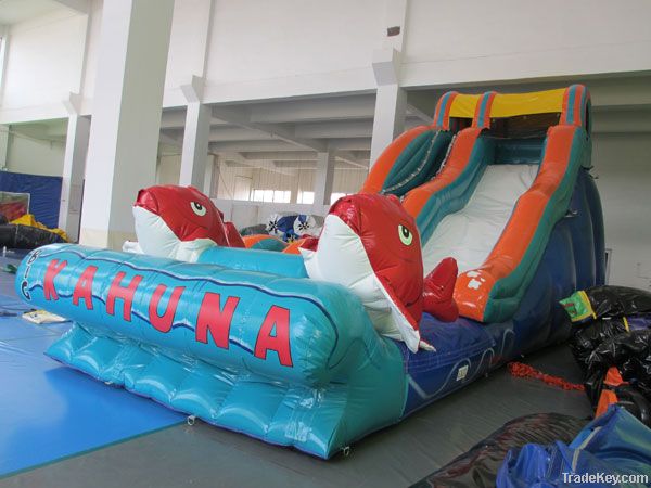 The Big Kahuna (Water Slides)