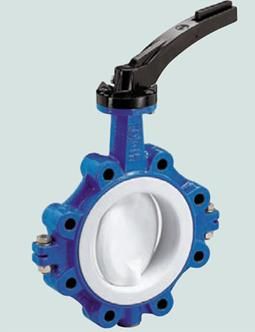 butterfly valve