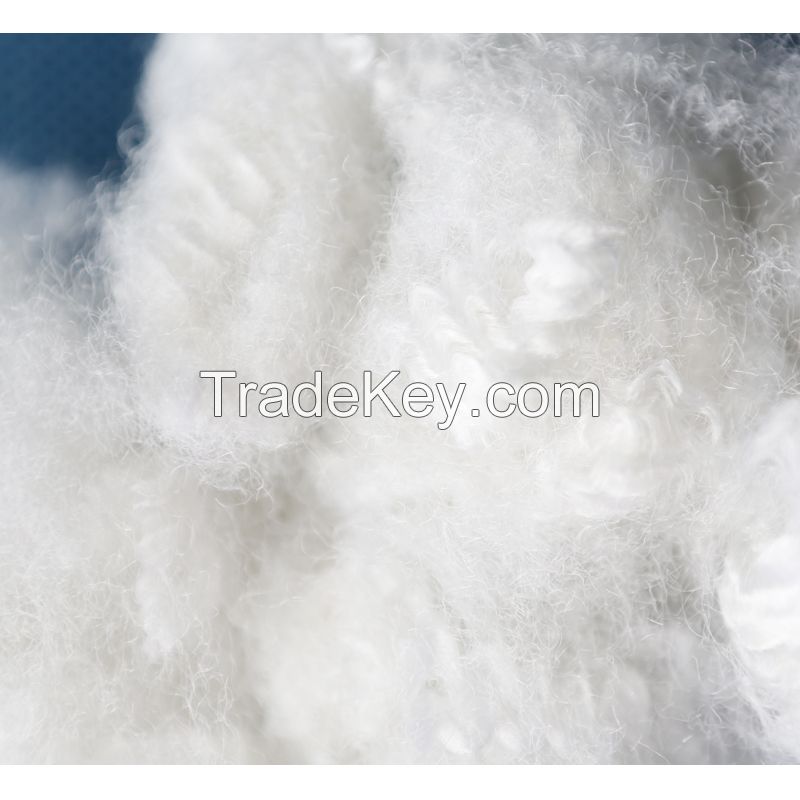 7d/15d hc hollow polyester fiber/pet flake regenerated polyester staple fibre for filling cotton wadding