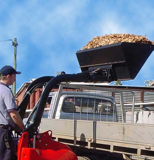 Bucket- Chipbark