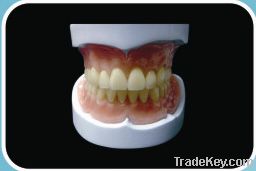 Acrylic Denture