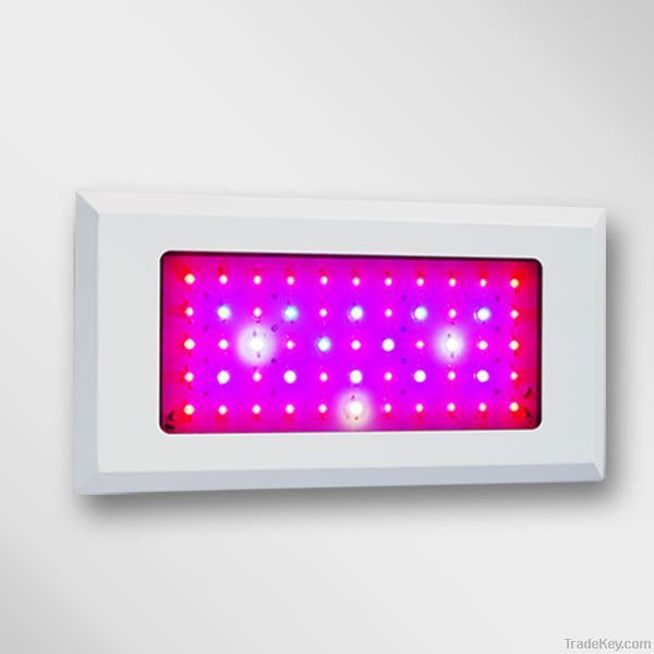 300W LED Grow Light 