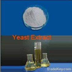 Yeast Extract for culture medium /Bio fermentation