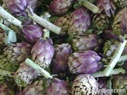 Artichoke