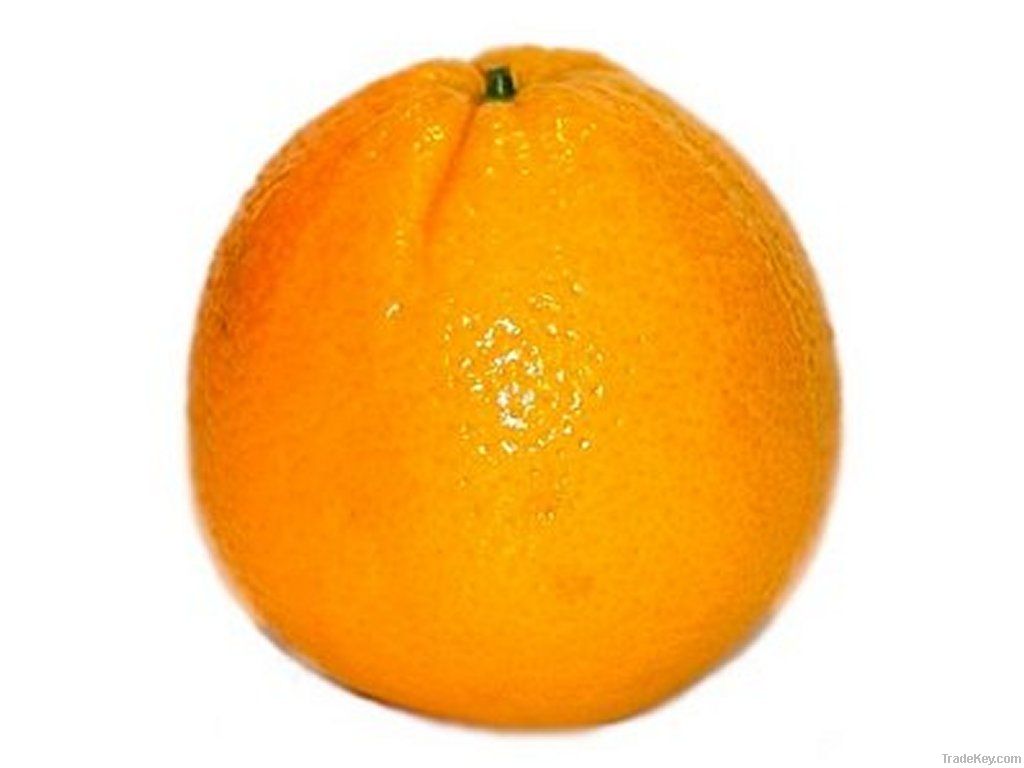 oranges merlin