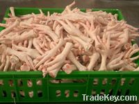 Sell Fresh Frozen Chicken Feet